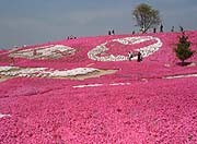 花夢の里ロクタン