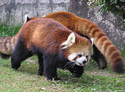 安佐動物公園