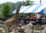 福山市立動物園