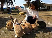 大久野島