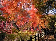 帝釈峡