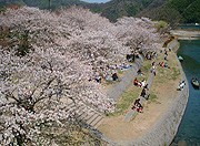 錦帯橋・吉香公園