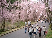 甲山ふれあいの里