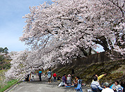 尾関山公園