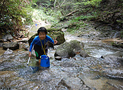 深山の滝